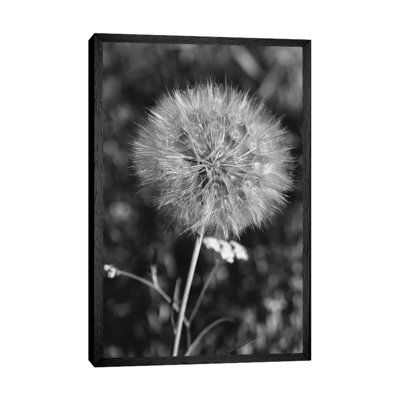 Summer Dandelion II by Bethany Young - Print on Canvas