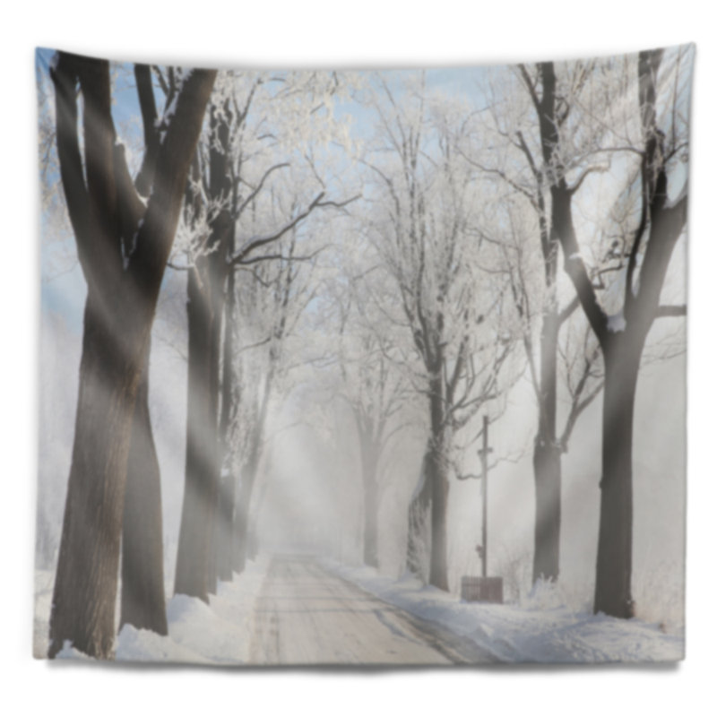 Tapisserie Misty, H 68 po x l 80 po