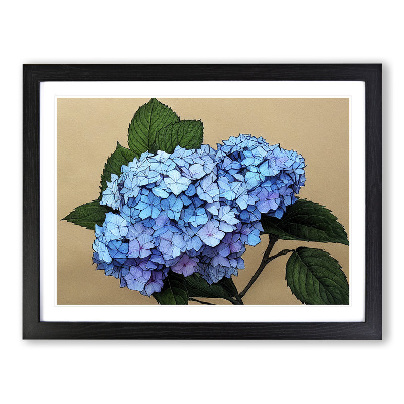 Sumptuous Hydrangea Flowers - Single Picture Frame Painting, 46cm H x 64cm W x 2cm D, Black