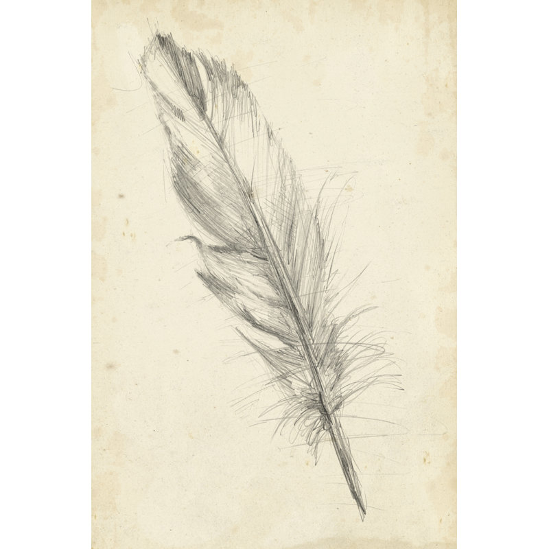 Feather Sketch III by Ethan Harper - Wrapped Canvas Print, 122cm H x 81cm W