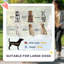 Foldable Pet Stroller with 4 Big Wheels for Medium Dogs-110210908