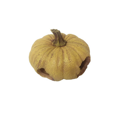 The reptile hideout resin aquarium decoration resembles a pumpkin house
