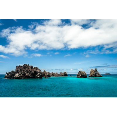 Galapagos Islands - Wrapped Canvas Print