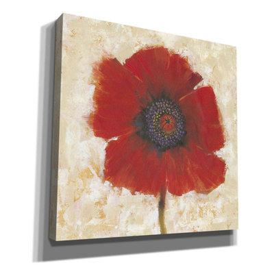 Red Poppy Portrait II by Timothy O' Toole - Wrapped Canvas Painting