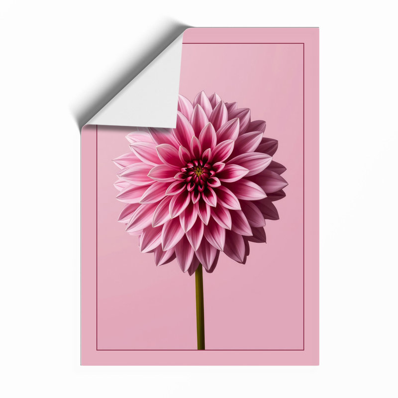 Dahlia In Bloom Botanical - Print, Unframed, A1 - 84.1 x 59.4 cm