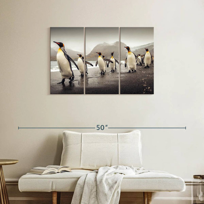 Pingouins bruns le long de la plage, H 24 po x l 38 po