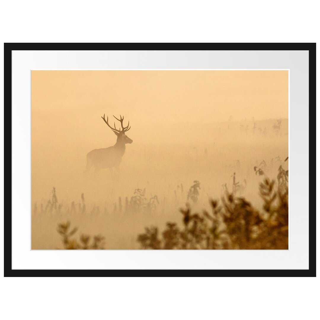 Gerahmtes Poster Hirsch im Nebel