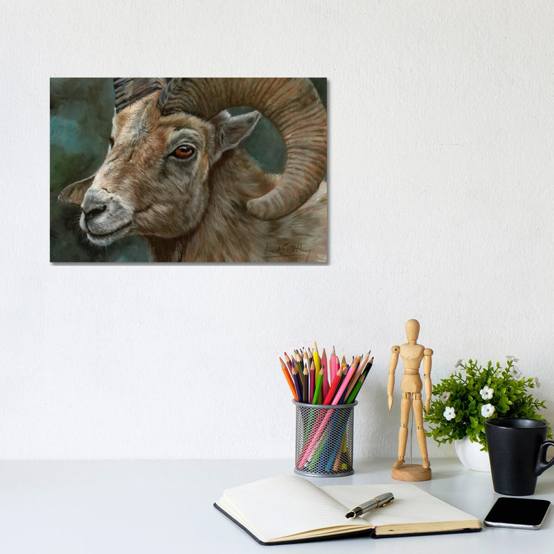 Portrait Of A Bighorn Sheep by David Stribbling - Wrapped Canvas Gallery-Wrapped Canvas Giclée, 20.32 cm H x 30.48 cm W