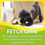 Jouet pour chien Interactives
