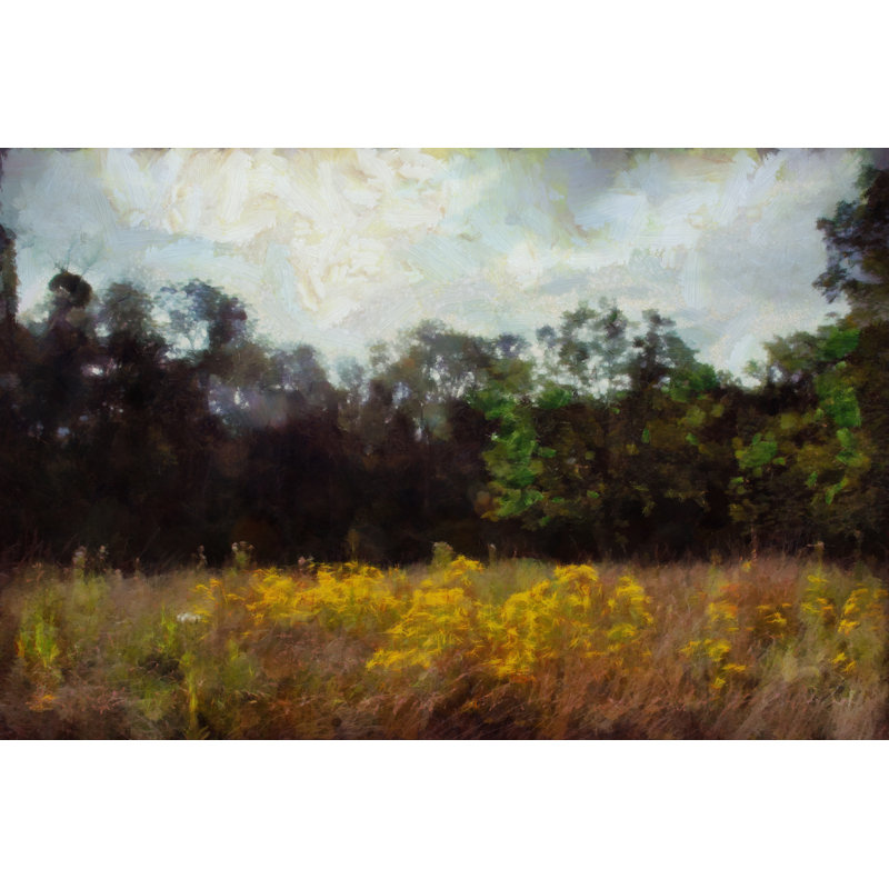 Painted Forest Field Landscape - Wrapped Canvas Art Prints, 51cm H x 76cm W x 3.8cm D