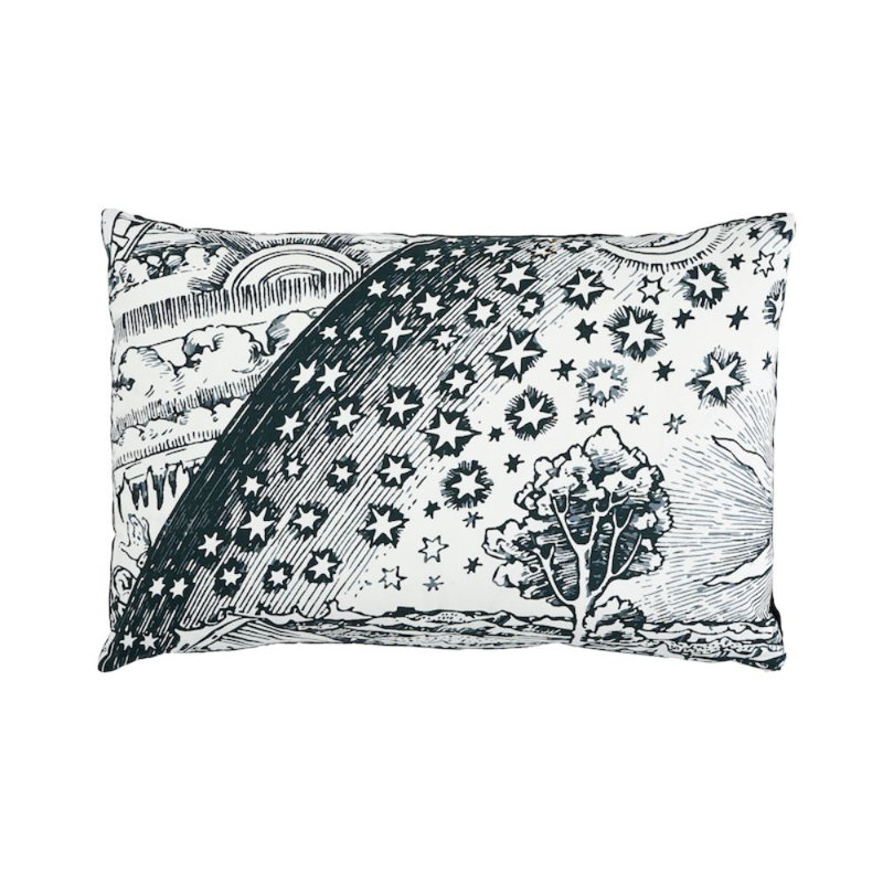 Schumacher x Johnson Hartig Tim Tim & Modern Toile Pillow