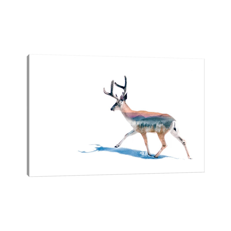 Winter Deer by Paul Haag - Print on Canvas, 20.32 cm H x 30.48 cm W, Wrapped Canvas