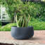 Pot à fleurs en béton Dovenby-968420656-968420671