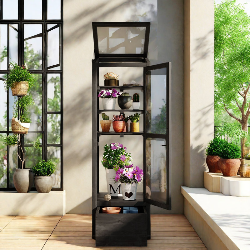 Black Fir Wood Garden Greenhouse with Adjustable Shelves and Storage Box
