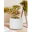 Pot de fleurs en céramique émaillée blanche Latitude Edge® avec bordure dorée - pot à fleurs minimaliste moderne pour la décoration intérieure, les mariages et l'organisation de bureau, mesure 4 po de diamètre et 3,5 po de hauteur, paquet de 24