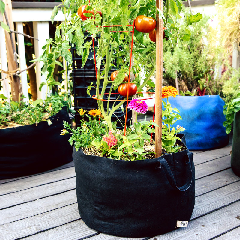 Jardinière en tissu Smart Pot®, Noir, 13,5 x 18 x 18