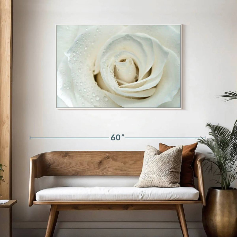 White Rose Close Up, Floating Frame White, 43" X 29"