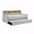 1Pc Light Gray Daybed With Pull-Out Trundle Bookcase Side Panel Charging Ports Nailhead Trim Modern Design Furniture