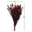 Phylica Floral Arrangement in Vase