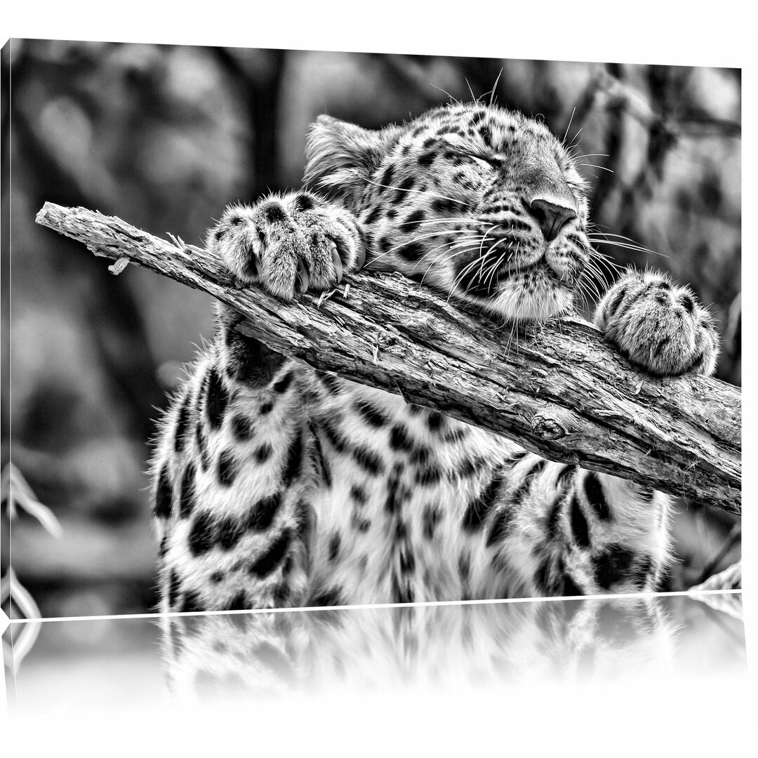 Leinwandbild Verspielter Leopard in Monochrom