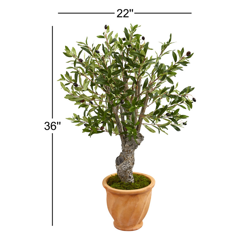 36 " H Faux Olive Tree in Ceramic Planter