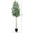96'' Faux Eucalyptus Tree in Pot Liner