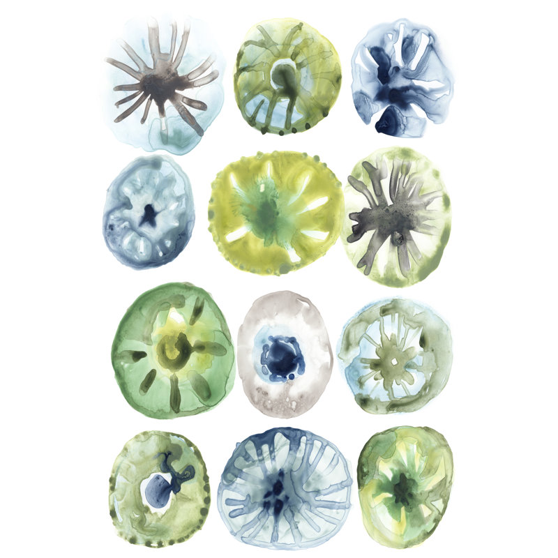 Assortiment d'oursins de mer I, H 30 po x l 20 po x P 1,25 po