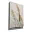 Art mural sur toile  «Neutral Pampas Grasses 2» par Danhui Nai-1159083798