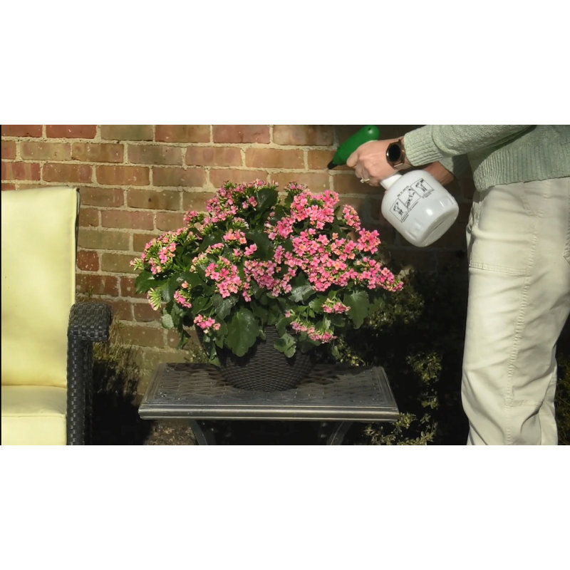 Hanging Planter