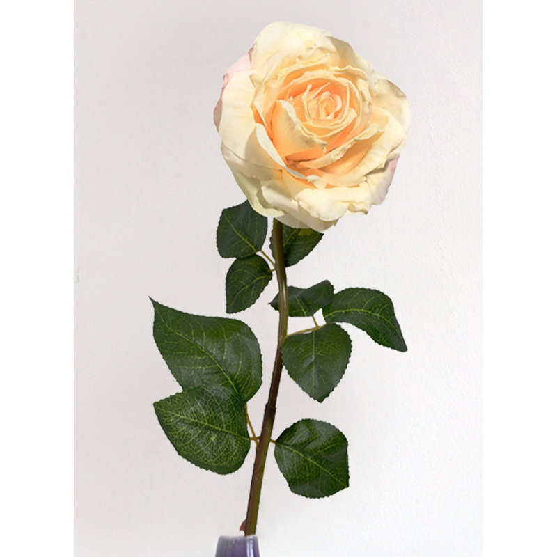 Arrangement de roses