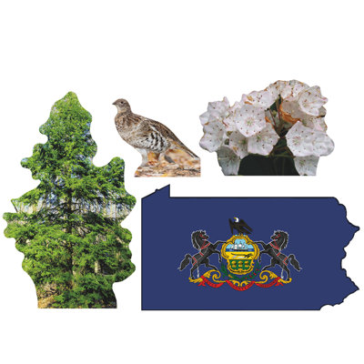 «Pennsylvania State Tree Flower»