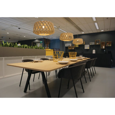 Pilke 1 - Light Pendant