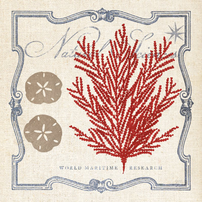 Pacific Sea Fern by Studio Mousseau - Wrapped Canvas Painting