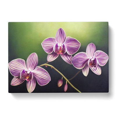 Supreme Orchid Flowers - Wrapped Canvas