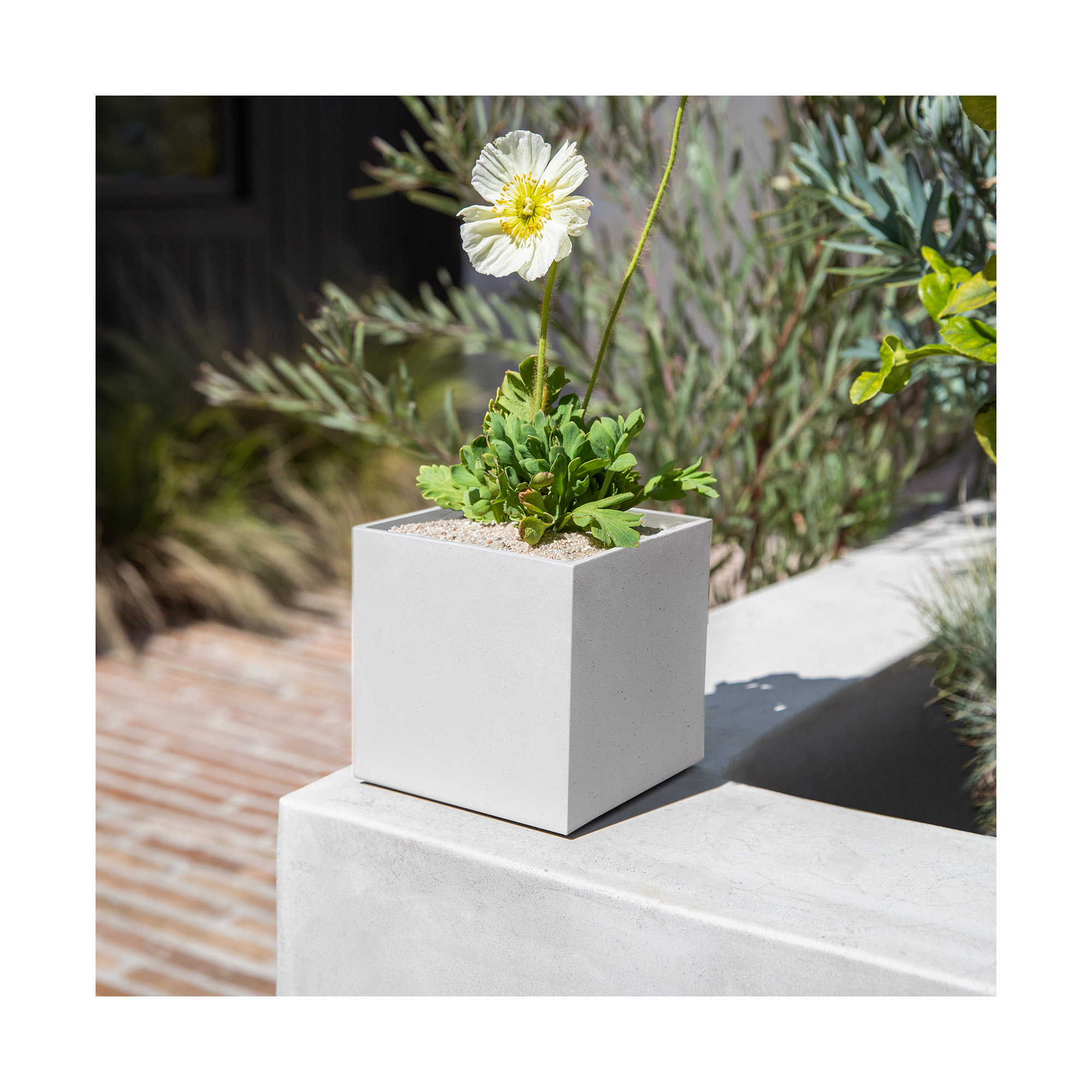 Geo Series Cube Planter, White, 1