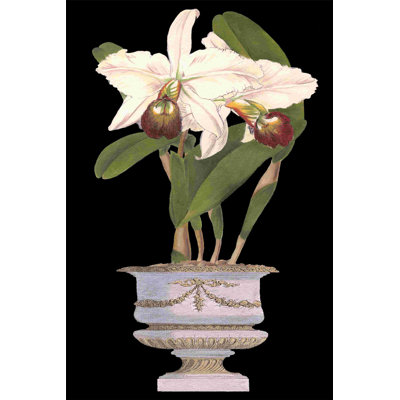 " Small Orchids In Silver (IP) II "