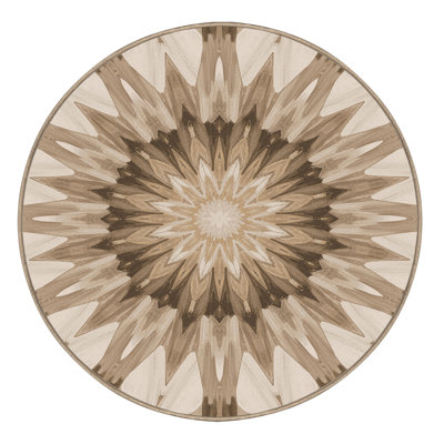Machine Washable Paulett Posh & Luxe Starburst Rug in Brown – Beige Binding
