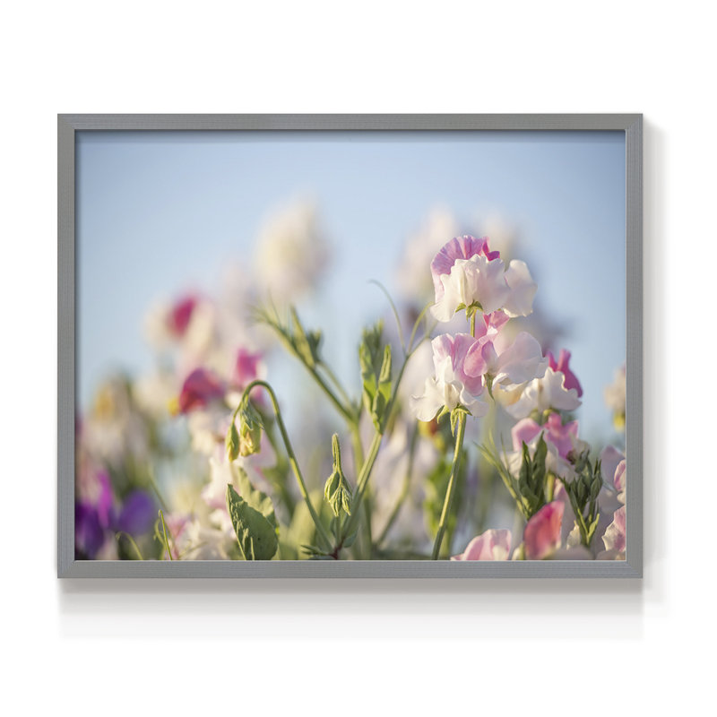 Pétales de printemps - impression encadrée - réarmable, Gris, H 22 po x l 28 po