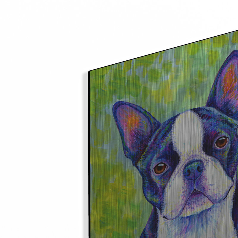 «Boston Terrier» par Rebecca Wang, art mural en métal, H 16 po x l 12 po