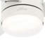 132cm Ceiling Fan with Light Kit-82614518-82614519