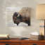 «Beautiful Buffalo», reproduction de photo-25128963-25128969