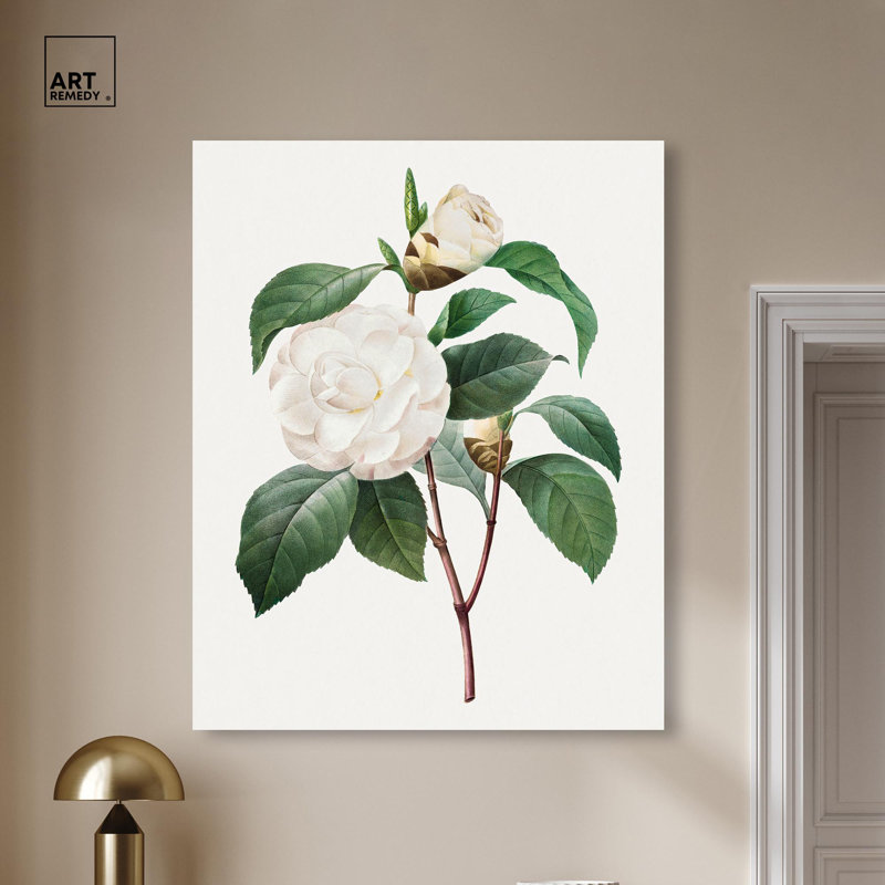 Toile de camélia blanc par Art Remedy, H 24 po x l 20 po, Sans cadre, Impression sans cadre