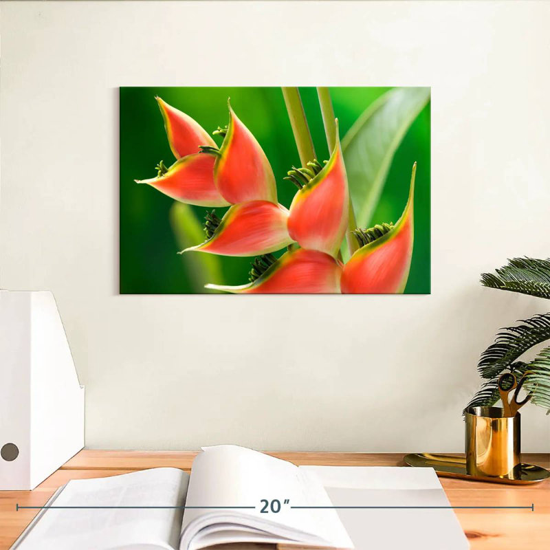 Fleur Harnek Heliconia, H 8 po x l 12 po