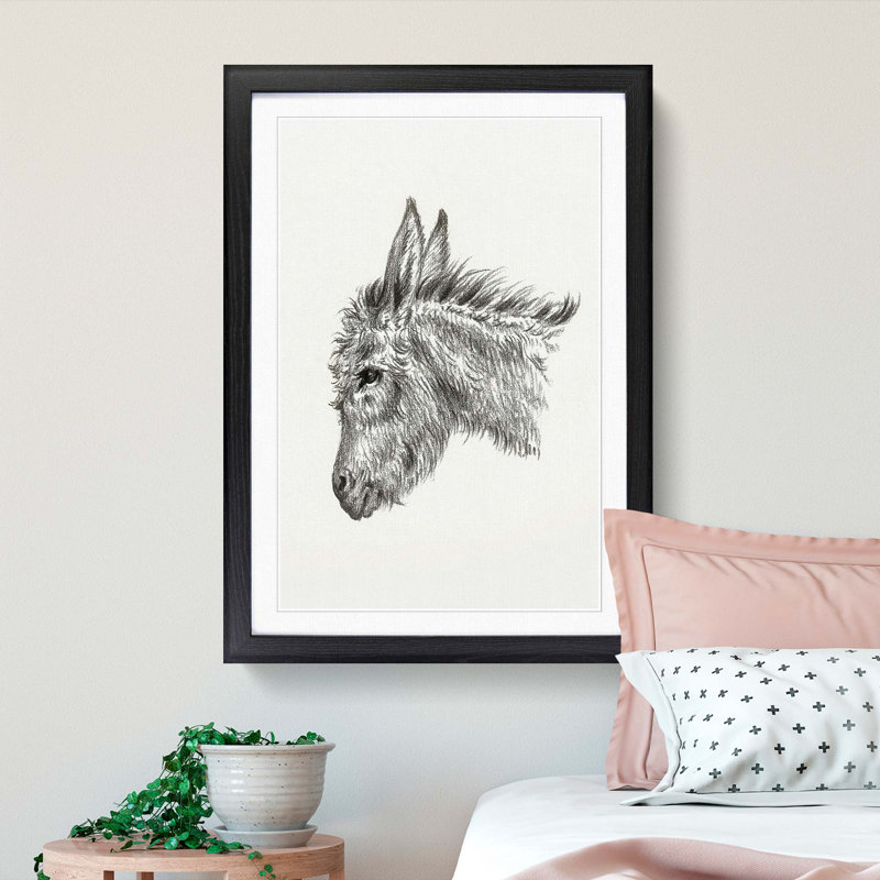 Head of a Donkey by Jean Bernard - Picture Frame Drawing Print, Black Framed, 36cm H x 27cm W x 2cm D