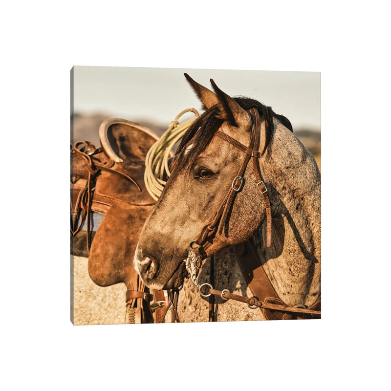 On The Watch by Rhonda Thompson - Wrapped Canvas Print, 45.72 cm H x 45.72 cm W
