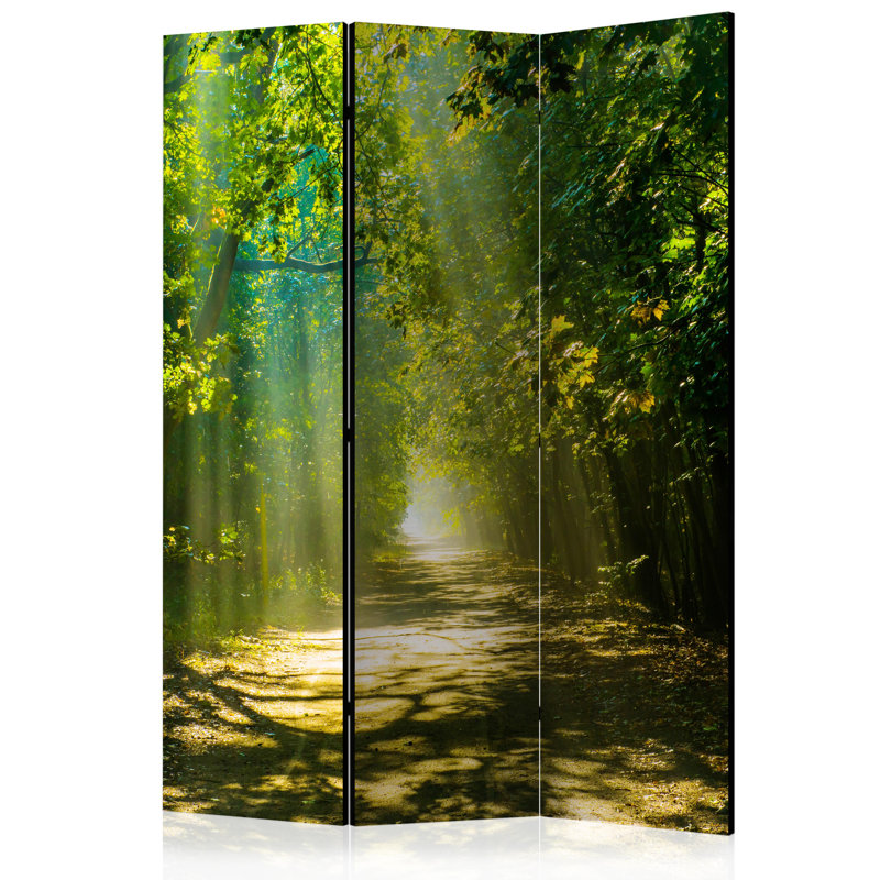 172cm H Solid Wood Folding Room Divider, 3