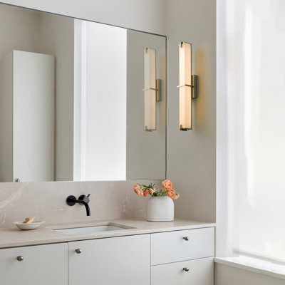 25" Dimmable LED Vanity Light in Brushed Nickel