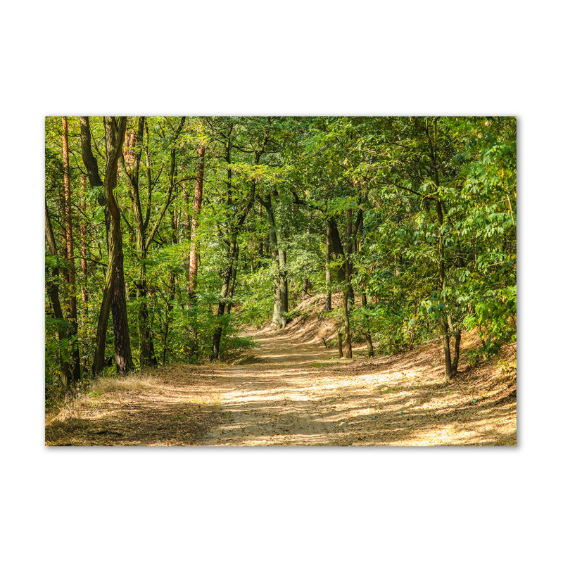 Forest Track - Wrapped Canvas Print