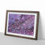 Dewdrops upon a Lilac Leaf in Abstract - Picture Frame Graphic Art Print-55740289-55740292