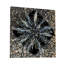 Aloe vera I - impression sur toile tendue-1127549868